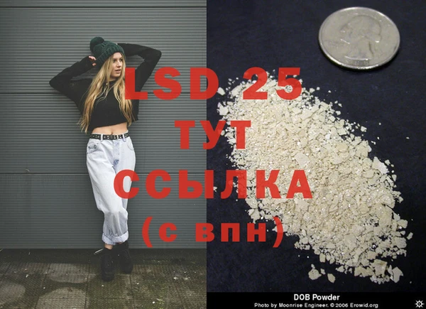 эйфоретик Елизово