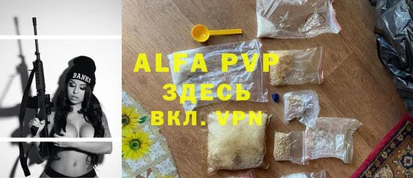эйфоретик Елизово